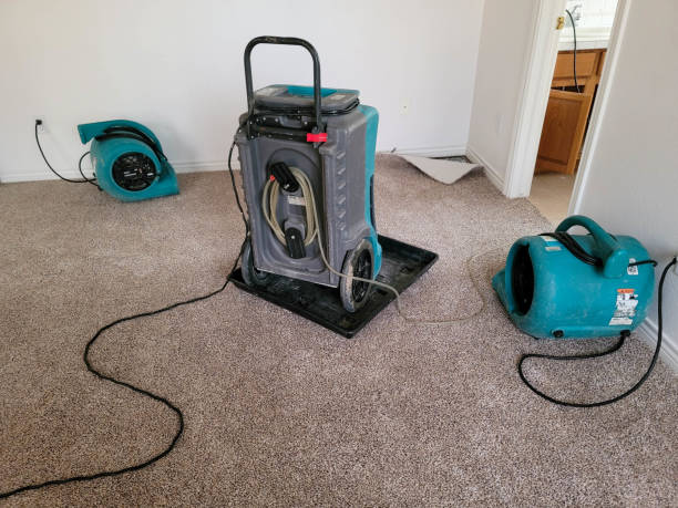Best Ceiling water damage repair  in Ross, OH