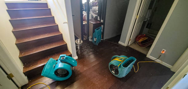 Best Water damage restoration experts  in Ross, OH