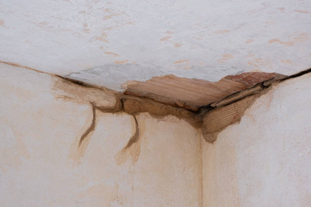 Best Local water damage restoration  in Ross, OH