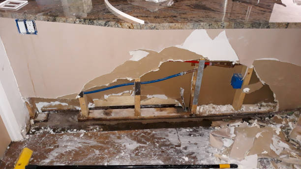 Best Water damage contractors near me  in Ross, OH