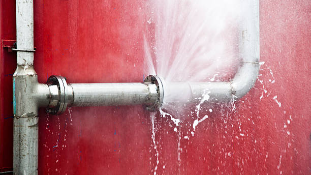 Best Water damage cleanup near me  in Ross, OH