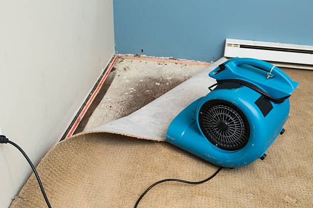 Best Sewage cleanup and water damage restoration  in Ross, OH